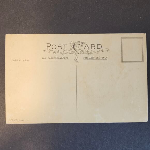 Thanksgiving Vintage Postcard Lot Of 2 Unposted Turkey Greetings USA - Picture 5 of 9